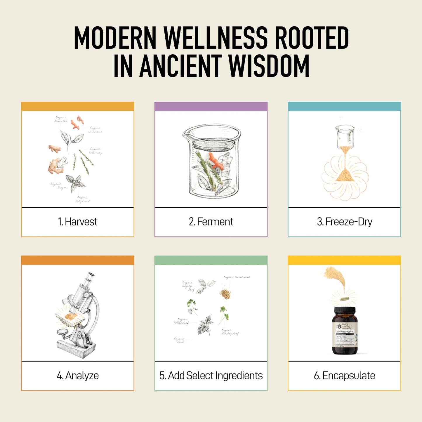 Living Alchemy Gut Health Supplements for Men & Women - Your Flora Probiotic Professional Digestion Supplement with Fermented Soybean, Prebiotics,