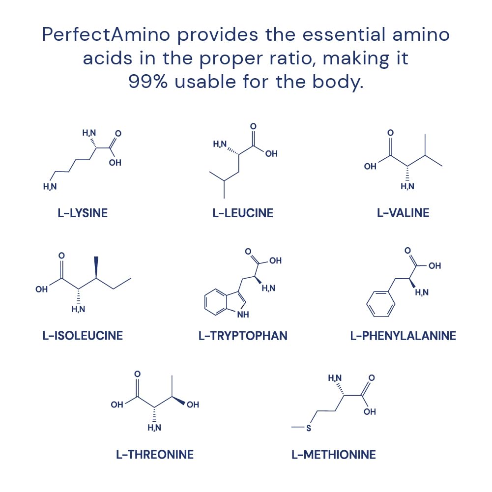 BodyHealth PerfectAmino (150 ct) Easy to Swallow Tablets, Essential Amino Acids Supplement with BCAAs, Vegan Protein for Pre/Post Workout & Muscle Recovery with Lysine, Tryptophan, Leucine, Methionine BodyHealth buy supplements Au