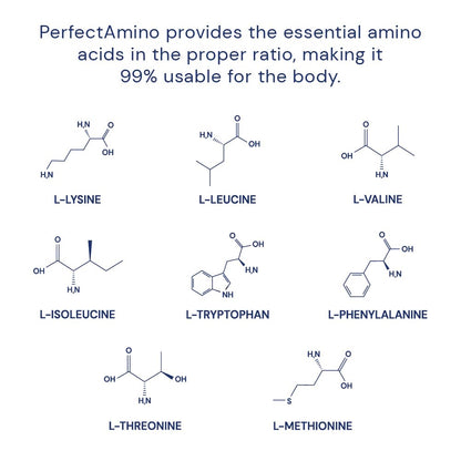 BodyHealth PerfectAmino (150 ct) Easy to Swallow Tablets, Essential Amino Acids Supplement with BCAAs, Vegan Protein for Pre/Post Workout & Muscle Recovery with Lysine, Tryptophan, Leucine, Methionine BodyHealth buy supplements Au