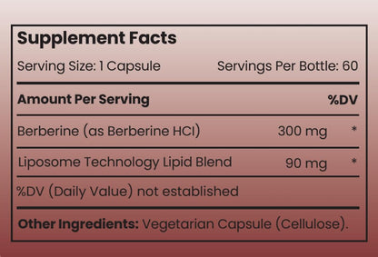 Rho Nutrition Liposomal Berberine Capsules - Ultra High Absorption Supplement – Supports Immune Function, Gut Health and Metabolic