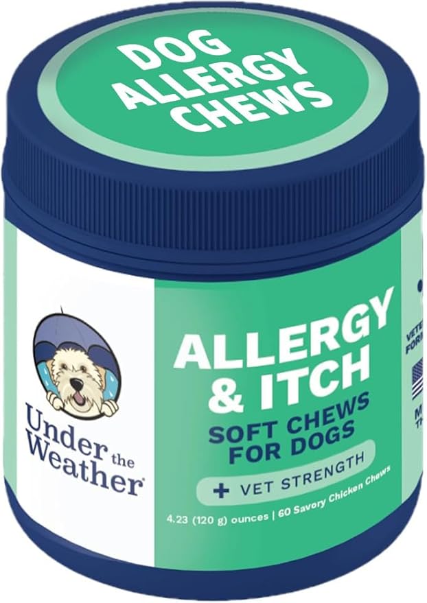 Container of Under the Weather dog allergy and itch soft chews for dogs.