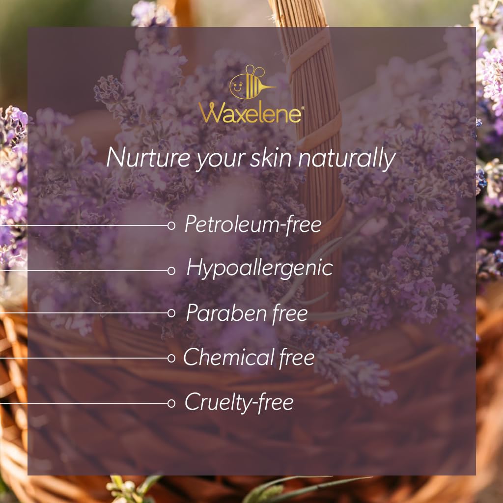 Lavender Aerated Lip Balm tin - Single WaxeleneBuy Supplements Australia