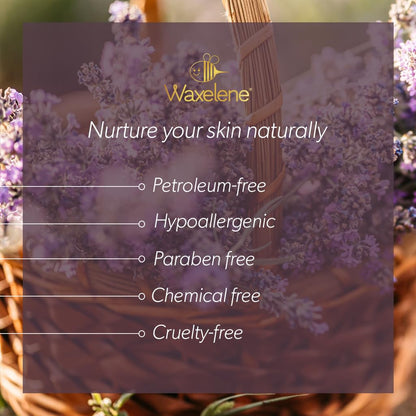 Lavender Aerated Lip Balm tin - Single WaxeleneBuy Supplements Australia