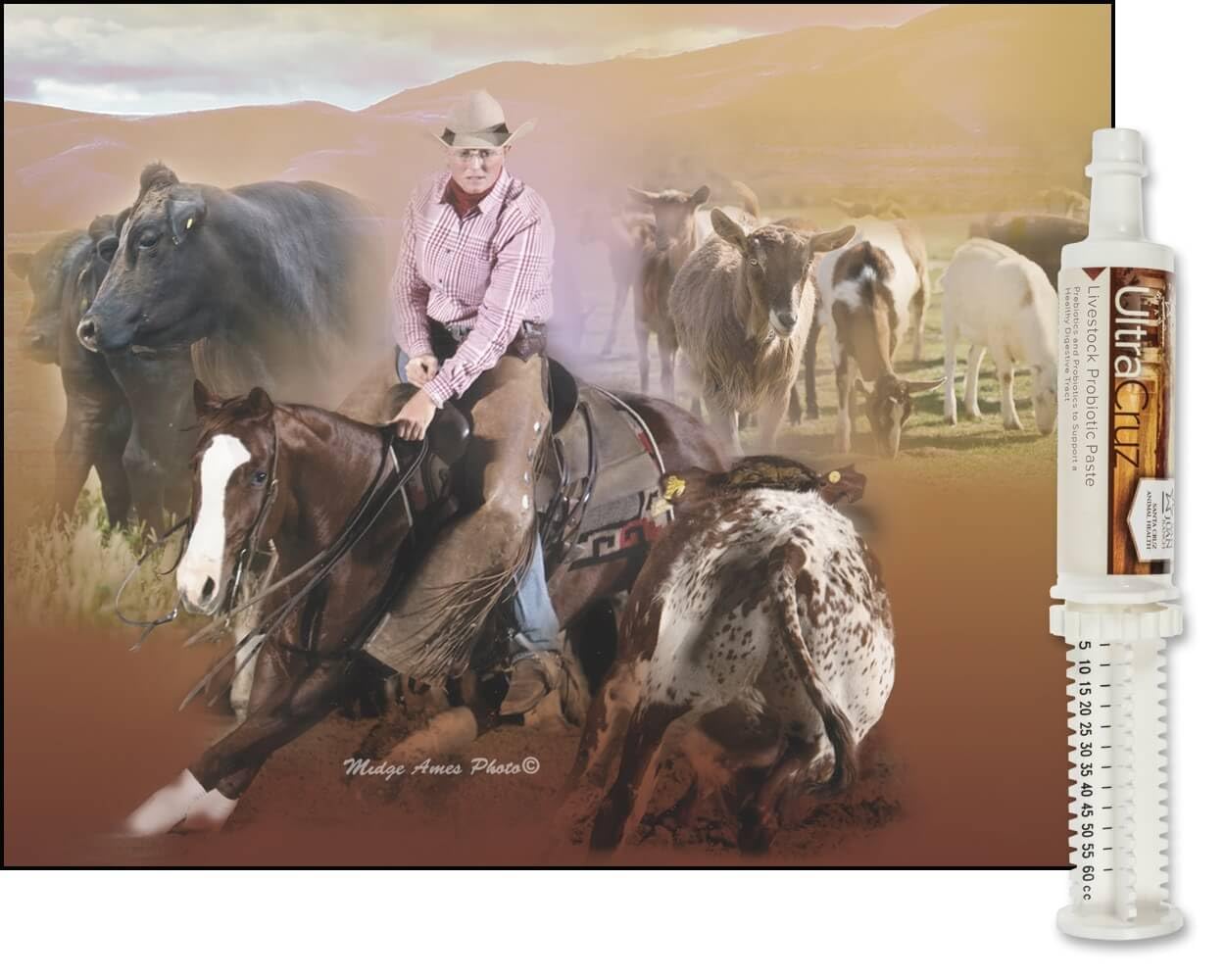 60 ml, Paste, 4 Day Supply UltraCruz buy supplements Au