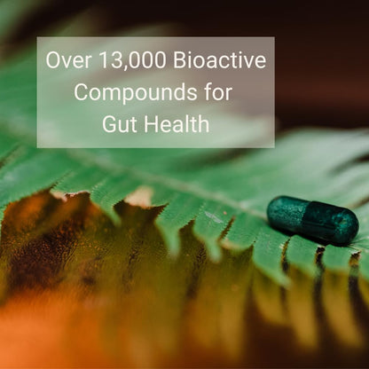 Thaena ThaenaBiotic Postbiotic - World's First Human-Derived Postbiotic Supplement - 30 Count