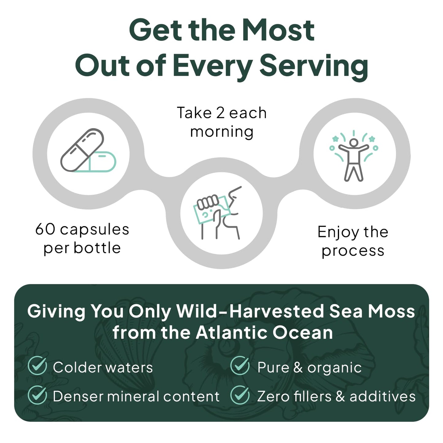 Organics Ocean Wild Sea Moss Capsules - 100% Organic Irish Sea Moss with Organic Chlorella, Bladderwrack and Vitamin D for Energy, Lung Health and Thyroid Support for Women and Men - 60 Capsules Organics OceanBuy Supplements Australia