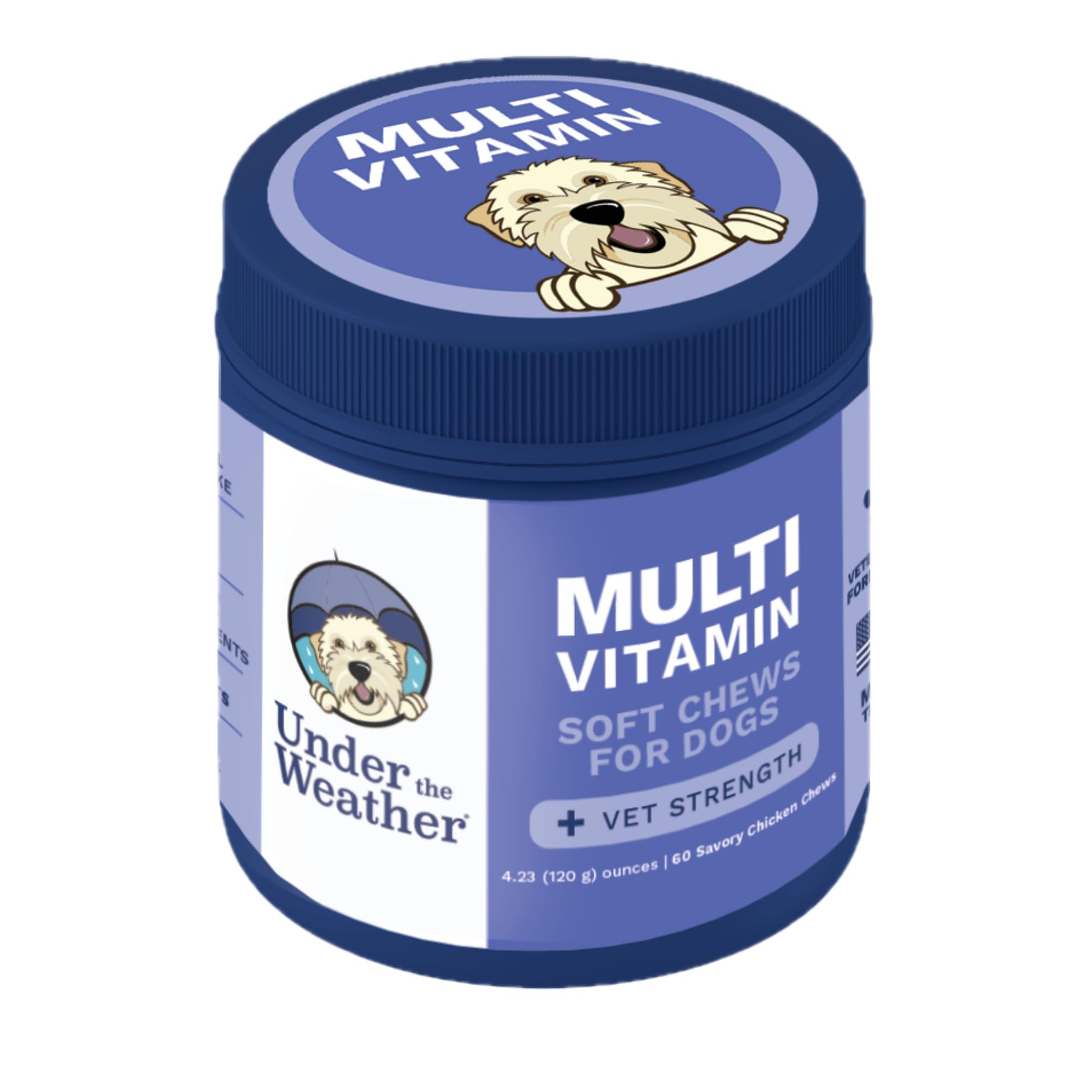 Multi-vitamin soft chews for dogs container with a blue lid and white body on a white background.