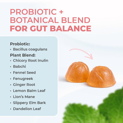 Nature’s NutriWave PrimeBiome Probiotic Gummies – Plant-Based Blend with Inulin, Lion’s Mane, Ginger & More– Non-GMO, No Stimulants, GMP Certified – 30 Gummies, 3 Month Supply Nature’s NutriWave buy supplements Au