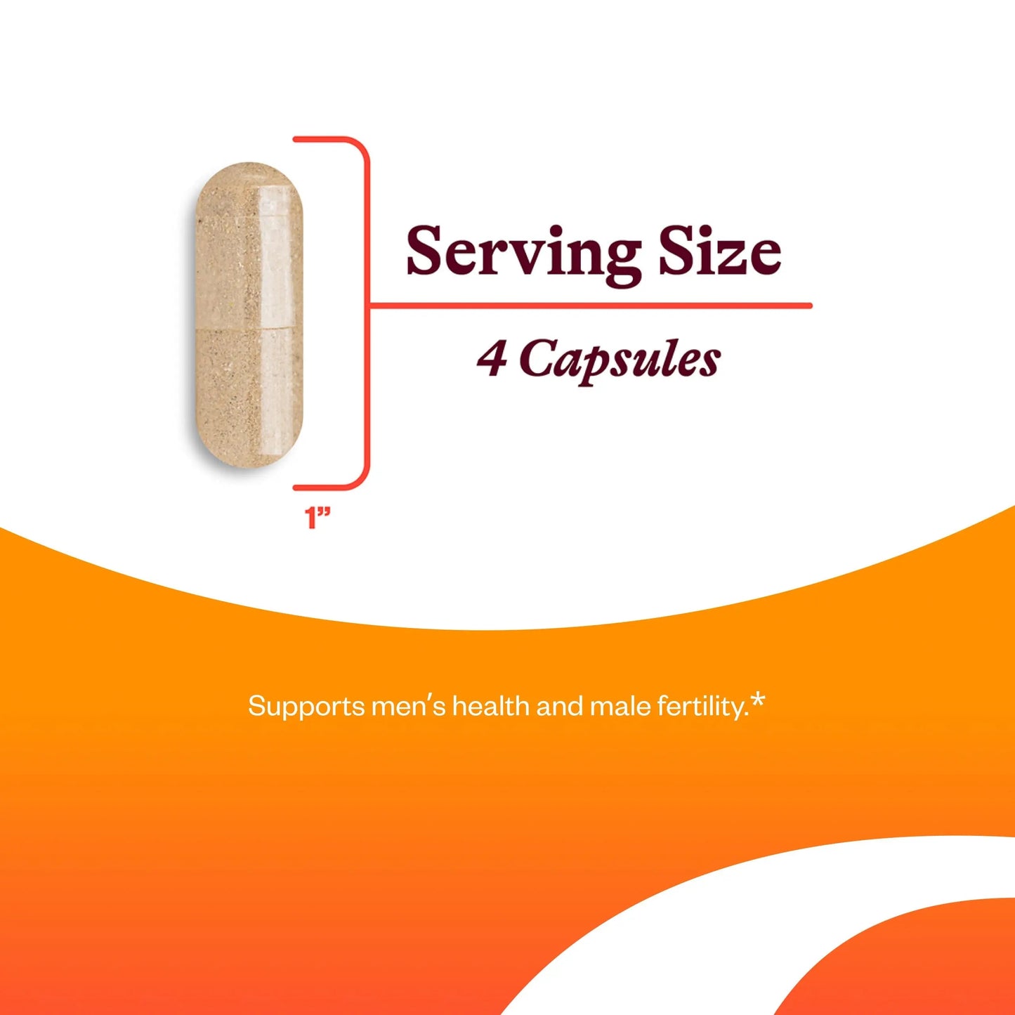 Seeking Health Optimal Man - Multivitamin Supplement with Zinc, Active Folate, & Alpha-Lipoic Acid - Multivitamin Supports Energy & Brain Health - Support Healthy Aging Seeking Health