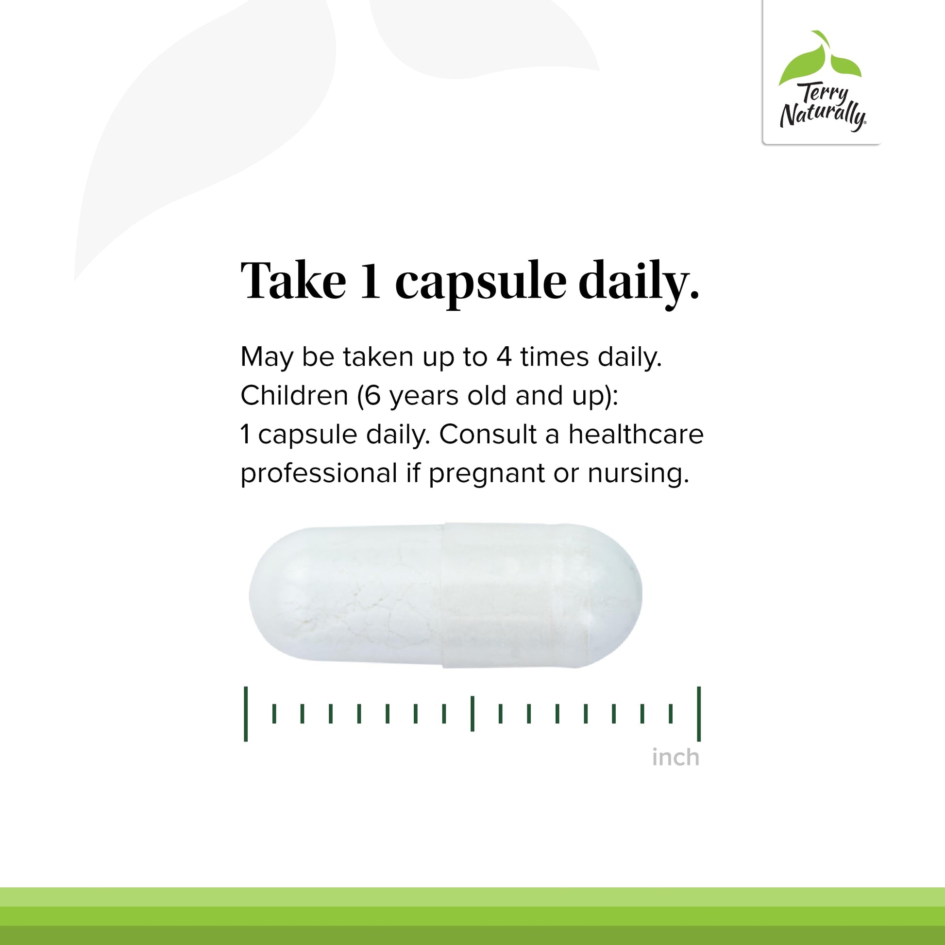 Terry Naturally BioActive Magnesium Complex - Bone & Heart Health Support - Supplement with Vitamin B6, Zinc & Magnesium - Pyridoxal-5-Phosphate Vegan Capsule Supplement - 120 Capsules Terry Naturally buy supplements Au