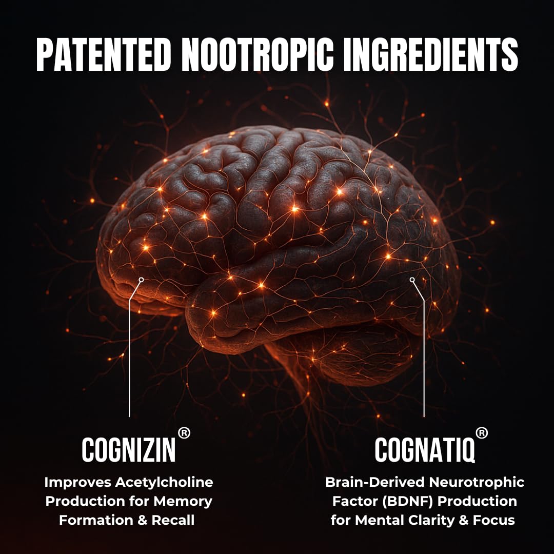 All-Natural Brain Supplement for Memory and Focus - Caffeine-Free Long-Term Cognitive Support - 10 Nootropic Ingredients Including Lion’s Mane, Bacopa, Turmeric, Ginkgo & Huperzine A - 90 Capsules