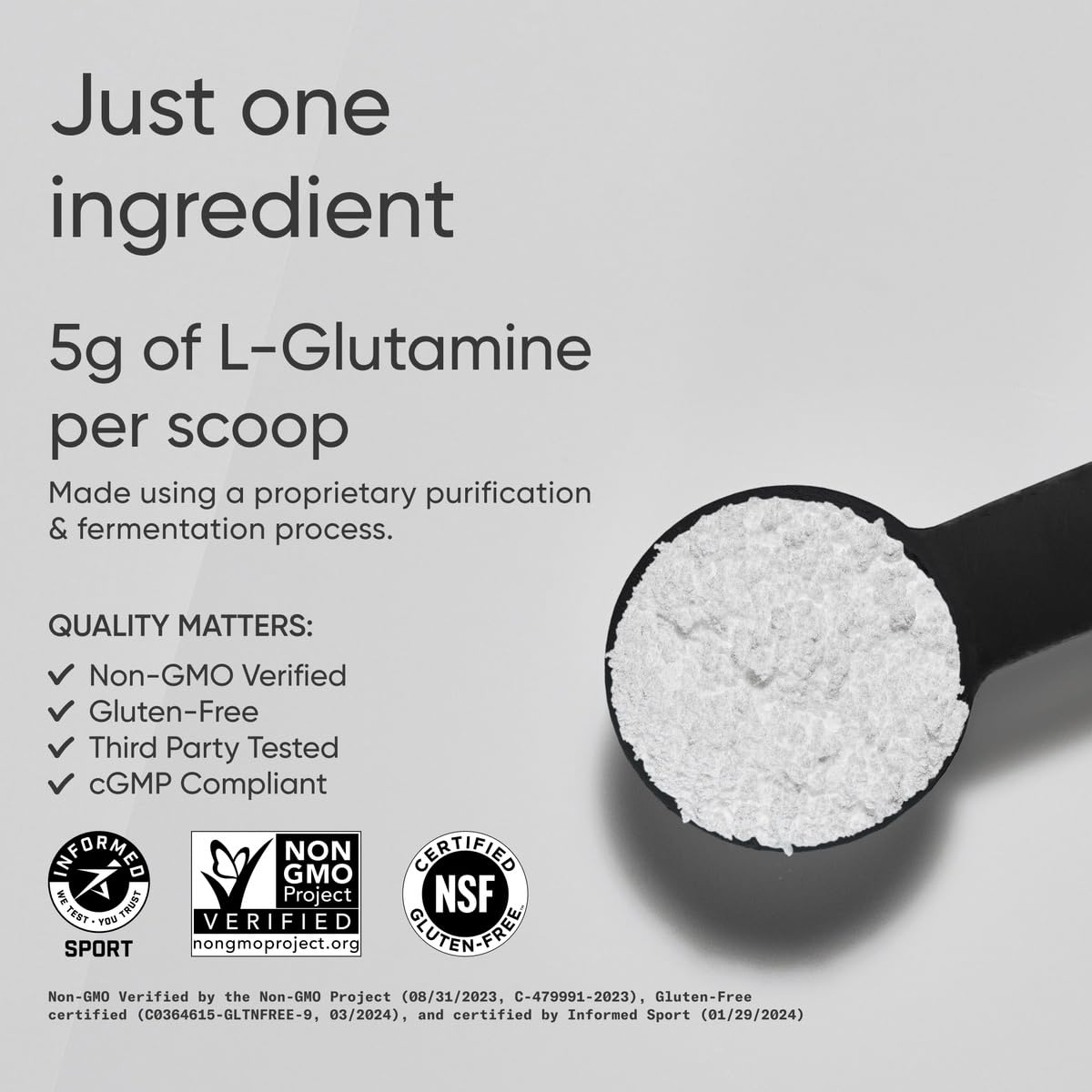 Sports Research L-Glutamine - Workout Recovery, Immune Health & Gut Health Support - 5 G Per Serving - 17.64 Oz Sports Research buy supplements Au