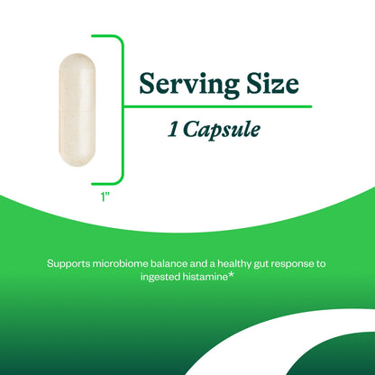 Seeking Health ProBiota HistaminX - Digestion Supplement for Gut Health Support - Support Histamine with Lactobacillus Plantarum & Lactobacillus Salivarius - Support Immune & Skin Health - 60 Capsules Seeking HealthBuy Supplements Australia