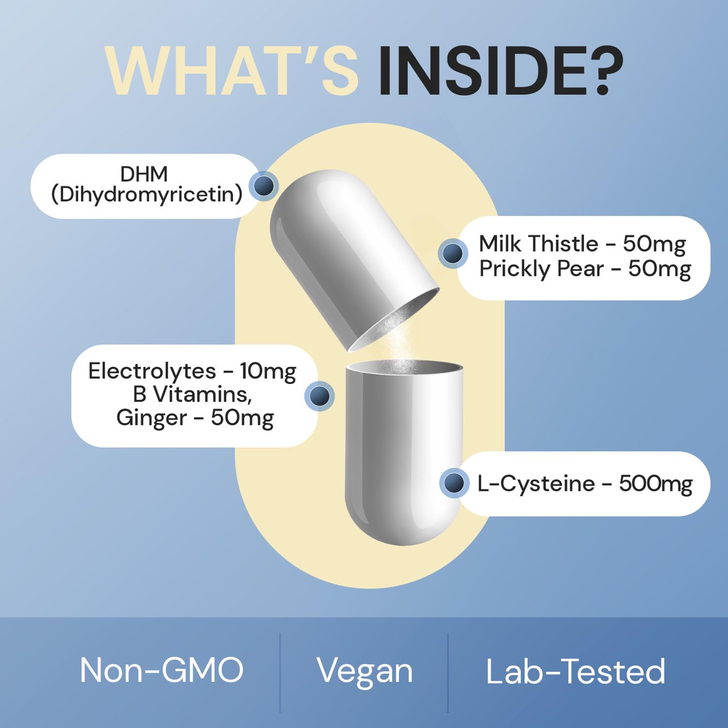 Body C.E.O. After Drinking Aid - Electrolyte Balance & Recovery - DHM (Dihydromyricetin), L-Cysteine, Prickly Pear, Milk Thistle, Zinger, Vitamin-B for Recovery - Filler-Free Formula - 60 Capsules BODY C.E.O. EXECUTIVE OF SUPPLEMENTS buy supplements Au