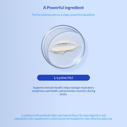 L-Lysine Supplement for Cats 900mg/scoop - Cat Supplement for Sneezing and Runny Nose, Cold, Immune Support, Eye Function