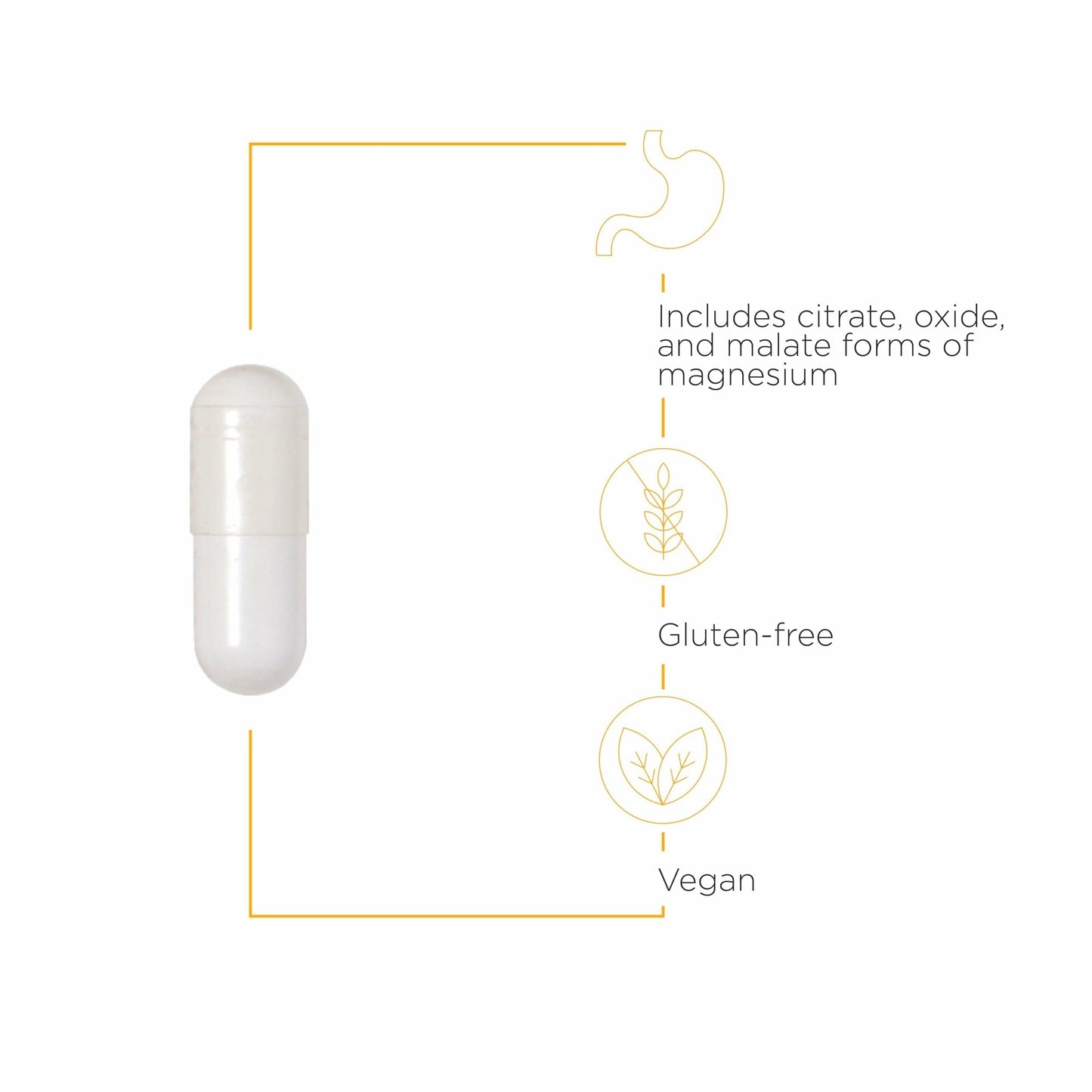 Integrative Therapeutics Tri-Magnesium - Supports Cellular Energy & Energy Metabolism - Magnesium Supplement for Heart & Nerve Health Support
