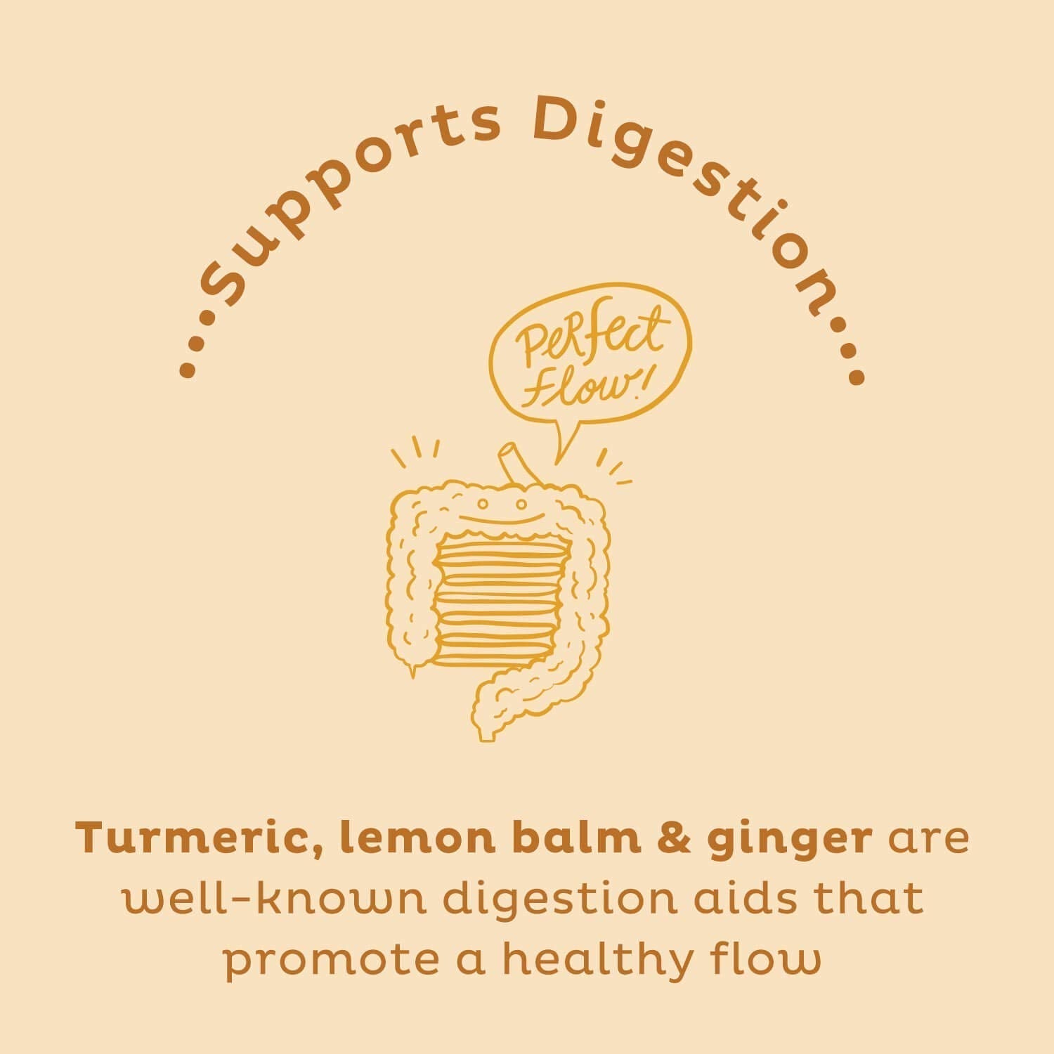 KOS Golden Mylk with Tumeric and Ginger, Organic Superfood Latte Powder, Adaptogen Mushroom Blend - Coffee Creamer, Dessert & Smoothie - Caffeine Free, Vegan, Dairy-Free, Gingerbread Chai, 28 Servings KOS buy supplements Au