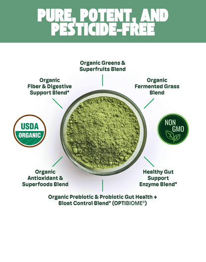 Cheerific Green Apple Bliss Superfood Powder - 20+ Organic Superfoods + Prebiotic & Probiotics + More - Keto Friendly - Supports Positive Mood, Gut Health - Vegan, Gluten Free, Non-GMO - 30 Day Supply CheerificBuy Supplements Australia