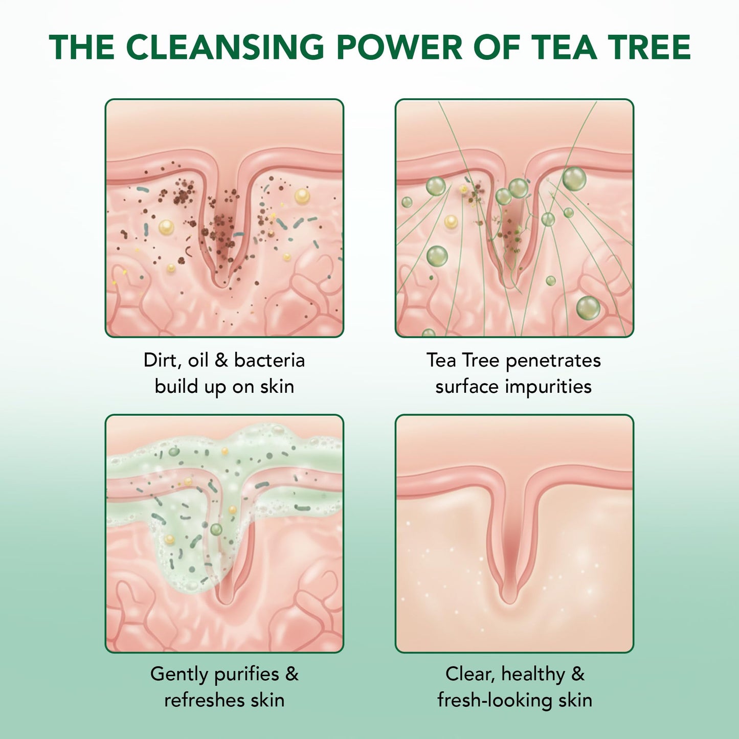 Botanic Hearth Tea Tree Body Wash -16 fl oz- All-Natural Antifungal & Odor-Control Shower