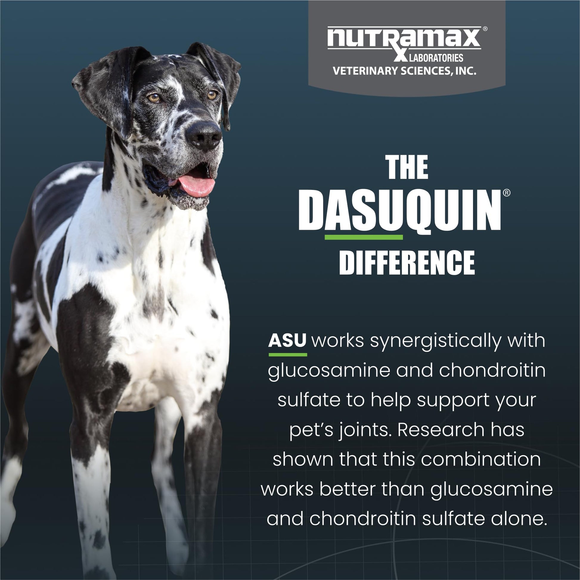Nutramax Dasuquin for Large Dogs, Joint Health Supplement, Contains Glucosamine for Dogs, Plus Chondroitin, ASU and More, Supports Healthy Joints, Chewable Tablets, 150 Count Nutramax LaboratoriesBuy Supplements Australia