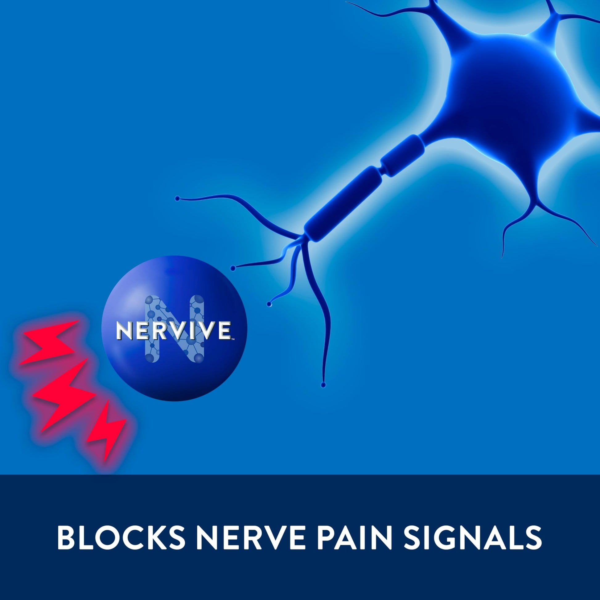 Nervive Pain Relieving Cream, Nervive Pain Relief, Max Strength Formula, Lidocaine Cream, Lidocaine Topical, Foot Pain, Leg Pain, Hand Pain Non-Greasy, 3.0z Nervive buy supplements Au