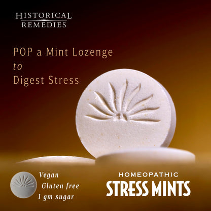 Historical Remedies Stress Mints (1 Pack) | Homeopathic Lozenges to Aid Stress & Digestion, Organic Peppermint Flavor, Vegan & Gluten-Free, Non-Habit Forming