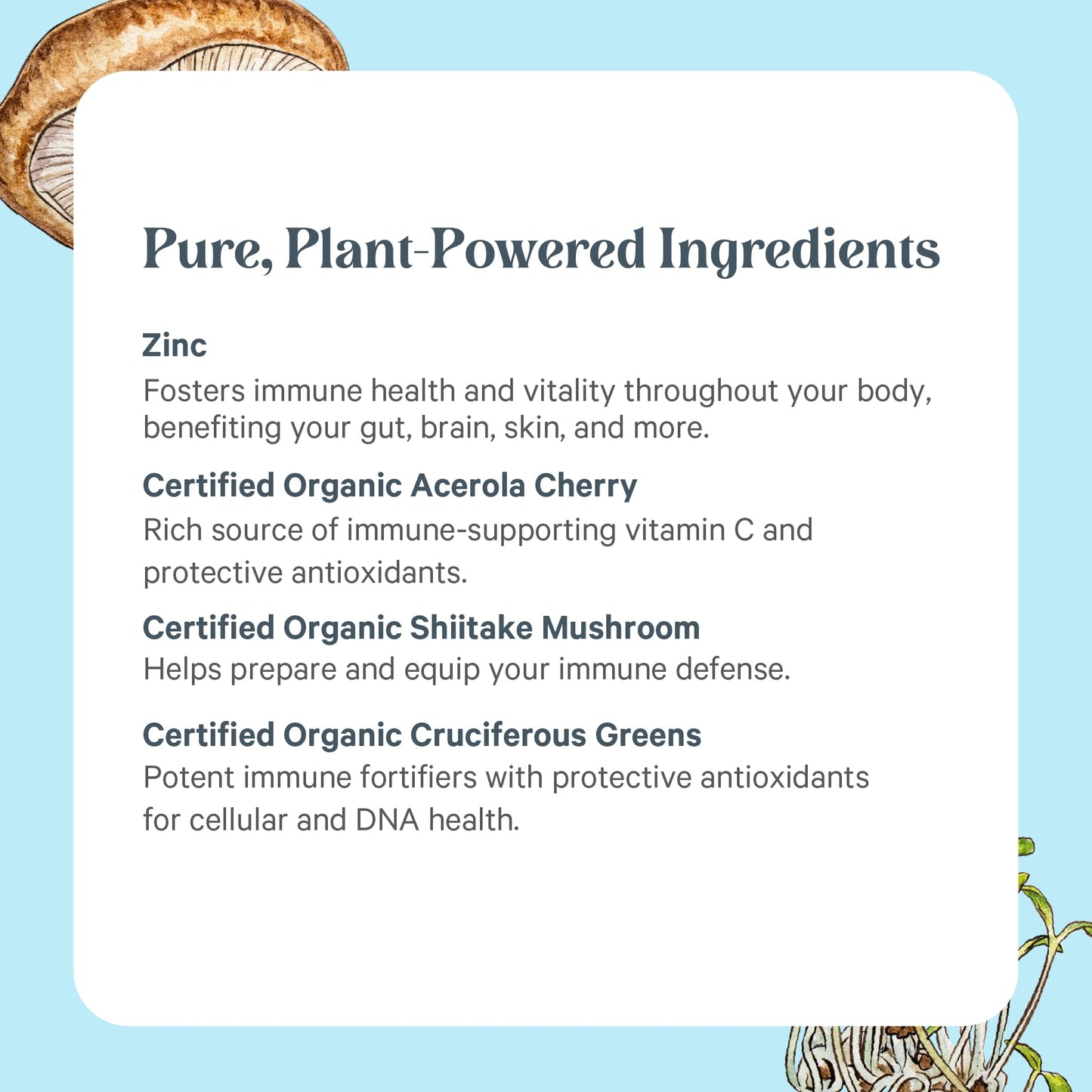 PURE SYNERGY Zinc Complex | Immune Support Supplement | Natural, Vegan Zinc Complex with Vitamin C and Organic Whole Foods | for Immune
