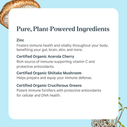 PURE SYNERGY Zinc Complex | Immune Support Supplement | Natural, Vegan Zinc Complex with Vitamin C and Organic Whole Foods | for Immune