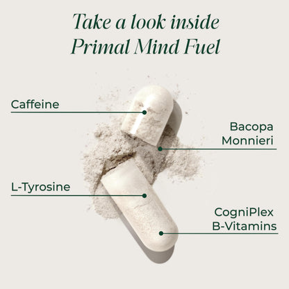 Brain Supplement by Primal Harvest, Primal Mind Fuel Brain Booster for Focus, Energy, Clarity, and Brain Health 30 Capsules Nootropics Brain Support Supplement for Men and Women Primal Harvest buy supplements Au