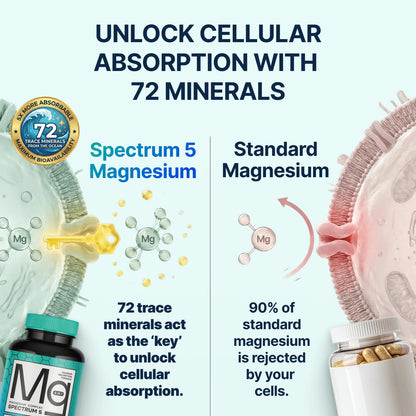 Spectrum 5 Magnesium | 5-in-1 Complex + 72 Trace Minerals for Enhanced Absorption | Irish Sea Sourced | 500mg per Serving | Made in USA, Third Party Tested, GMP Certified SonoHealth buy supplements Au