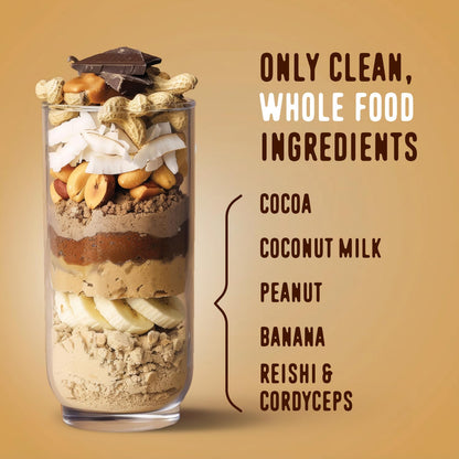 FlavCity Grass Fed Whey Chocolate Protein Powder - Chocolate Peanut Butter - 25g Protein & 10g Collagen - Made with Organic Cocoa & Coconut Milk - Gluten Free & No Added Sugars (20 Servings) FlavCity buy supplements Au