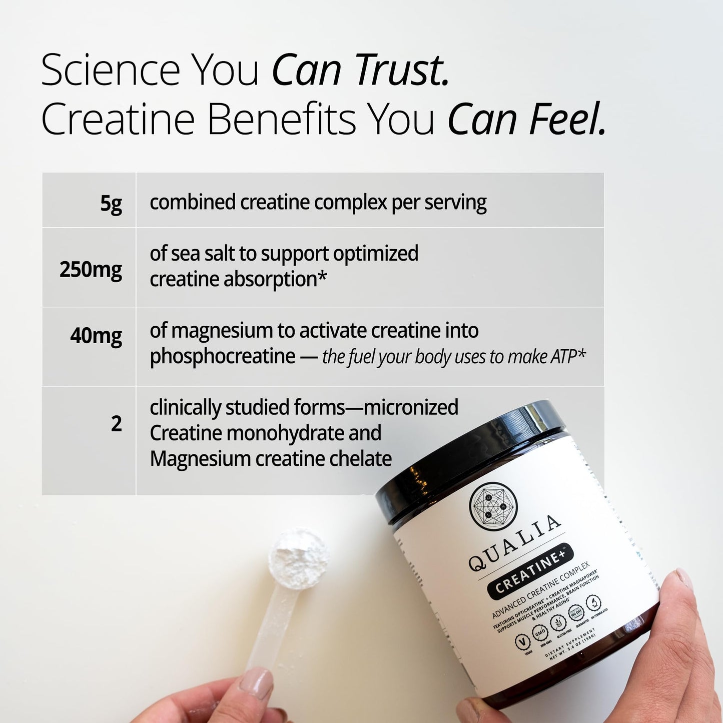 Qualia Creatine | Advanced Creatine Complex | 2 Sources + Magnesium | Optimized Absorption | Muscle Performance, Brain Function, & Healthy Aging (30 Servings) QUALIA LIFE SCIENCES buy supplements Au