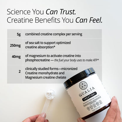 Qualia Creatine | Advanced Creatine Complex | 2 Sources + Magnesium | Optimized Absorption | Muscle Performance, Brain Function, & Healthy Aging (30 Servings) QUALIA LIFE SCIENCES buy supplements Au