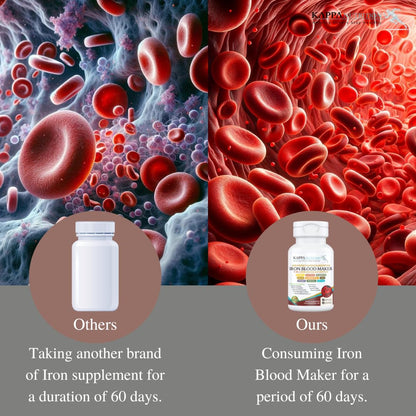 KAPPA NUTRITION Iron 26mg, Vitamin C & Orange 150mg, Folate 667mcg DFE, Vitamin B12, Beetroot, Brewers Yeast, Broccoli & MCT Oil 9 in 1 Advanced Complex (90 Capsules) KAPPA NUTRITIONBuy Supplements Australia