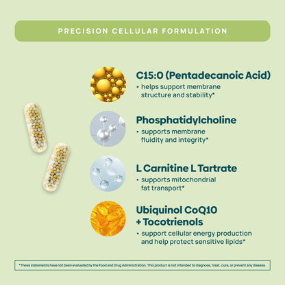 C15:0 Pentadecanoic Acid Supplement | Longevity, Cellular & Membrane Support, Micro-Granule Enhanced Absorption, Phosphatidylcholine, L-Carnitine,
