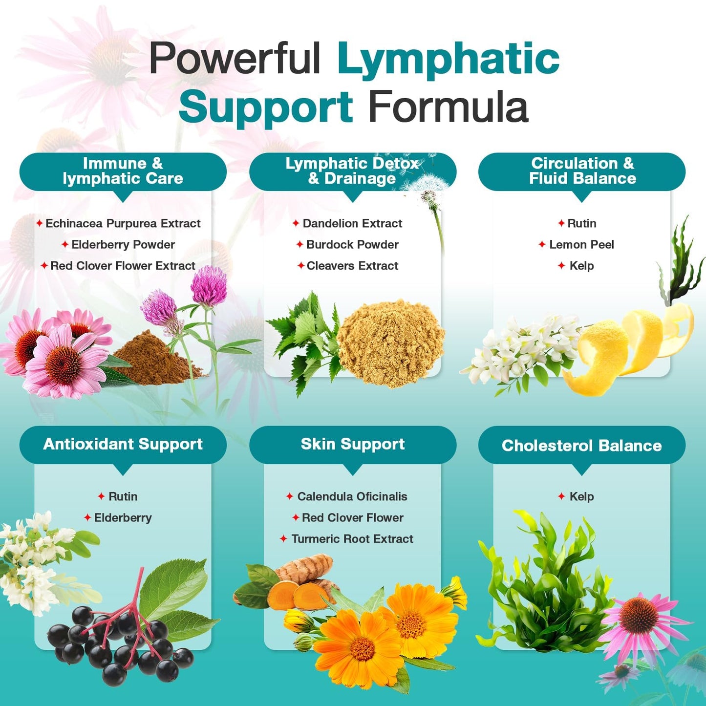 Lymphatic Drainage Supplements - Lymphatic System Support, Fluid Balance, Immune Support - Natural Lymphatic Cleanse & Detox Capsules with Dandelion, Echinacea, Burdock & More, 90 Capsules LUCKCHAN buy supplements Au