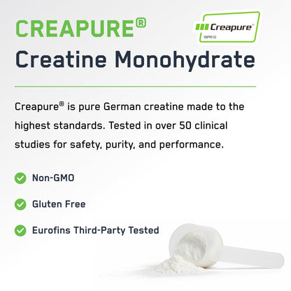 SteelFit Creapure Creatine Monohydrate Powder, Unflavored - German Micronized Creatine Powder for Men & Women - Gym Workout Nutritional Supplements for Muscle Gain