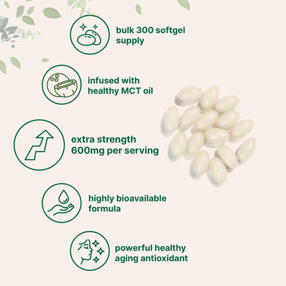 Micro Ingredients Alpha Lipoic Acid 600mg with MCT Oil, 300 Softgels | ALA Supplement for Liver, Antioxidants, Nerve, Cardiovascular Health Support