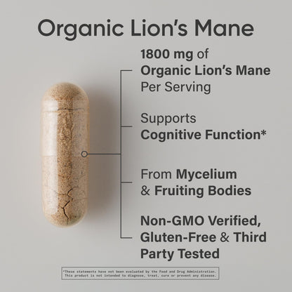 Sports Research® Organic Lion's Mane Mushroom Supplement 1800mg - Brain Health, Focus & Cognitive Supports - USDA Certified Organic · Non-GMO · Vegan - 90 Count Capsules Sports Research buy supplements Au