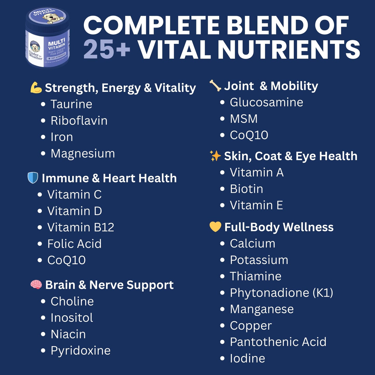 Under the Weather Multivitamin for Dogs | Vet Formulated Daily Canine Health Supplies for Immunity, Skin, Coat & Joint Support | All-in-One Multivitamin for Dogs of All Breeds & Sizes | 60 Count Under the Weather buy supplements Au