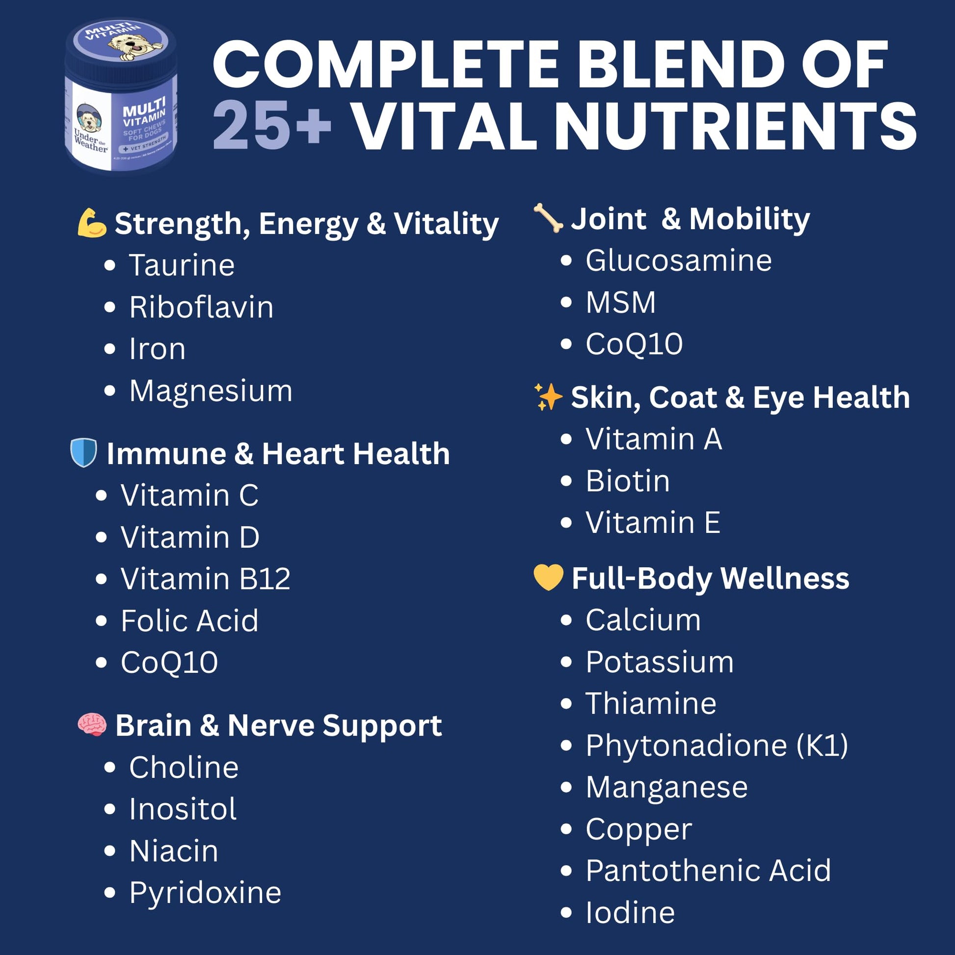 Under the Weather Multivitamin for Dogs | Vet Formulated Daily Canine Health Supplies for Immunity, Skin, Coat & Joint Support | All-in-One Multivitamin for Dogs of All Breeds & Sizes | 60 Count Under the Weather buy supplements Au