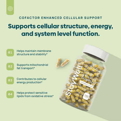 C15:0 Pentadecanoic Acid Supplement | Longevity, Cellular & Membrane Support, Micro-Granule Enhanced Absorption, Phosphatidylcholine, L-Carnitine,