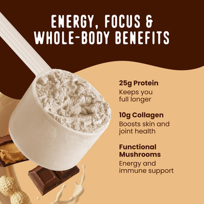 FlavCity Grass Fed Whey Chocolate Protein Powder - Chocolate Peanut Butter - 25g Protein & 10g Collagen - Made with Organic Cocoa & Coconut Milk - Gluten Free & No Added Sugars (20 Servings) FlavCity buy supplements Au