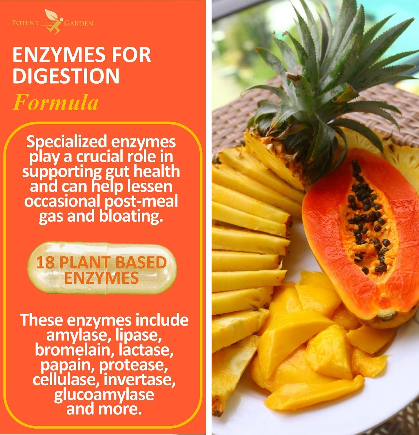 Potent Garden Digestive Enzymes -18 Plant Based Enzymes with amylase lipase bromelain Protease lactase & Other Enzymes - One Pre Meal Pill Supports Healthy