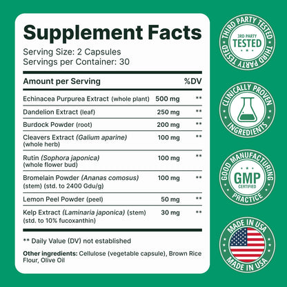 Sculptique Lymphatic Drainage Supplement – Lymphatic Drainage Capsules with Dandelion, Burdock, Cleavers & Echinacea, Supports Bloating, Fluid Balance & Daily Lymphatic Wellness – 60 Capsules Sculptique buy supplements Au