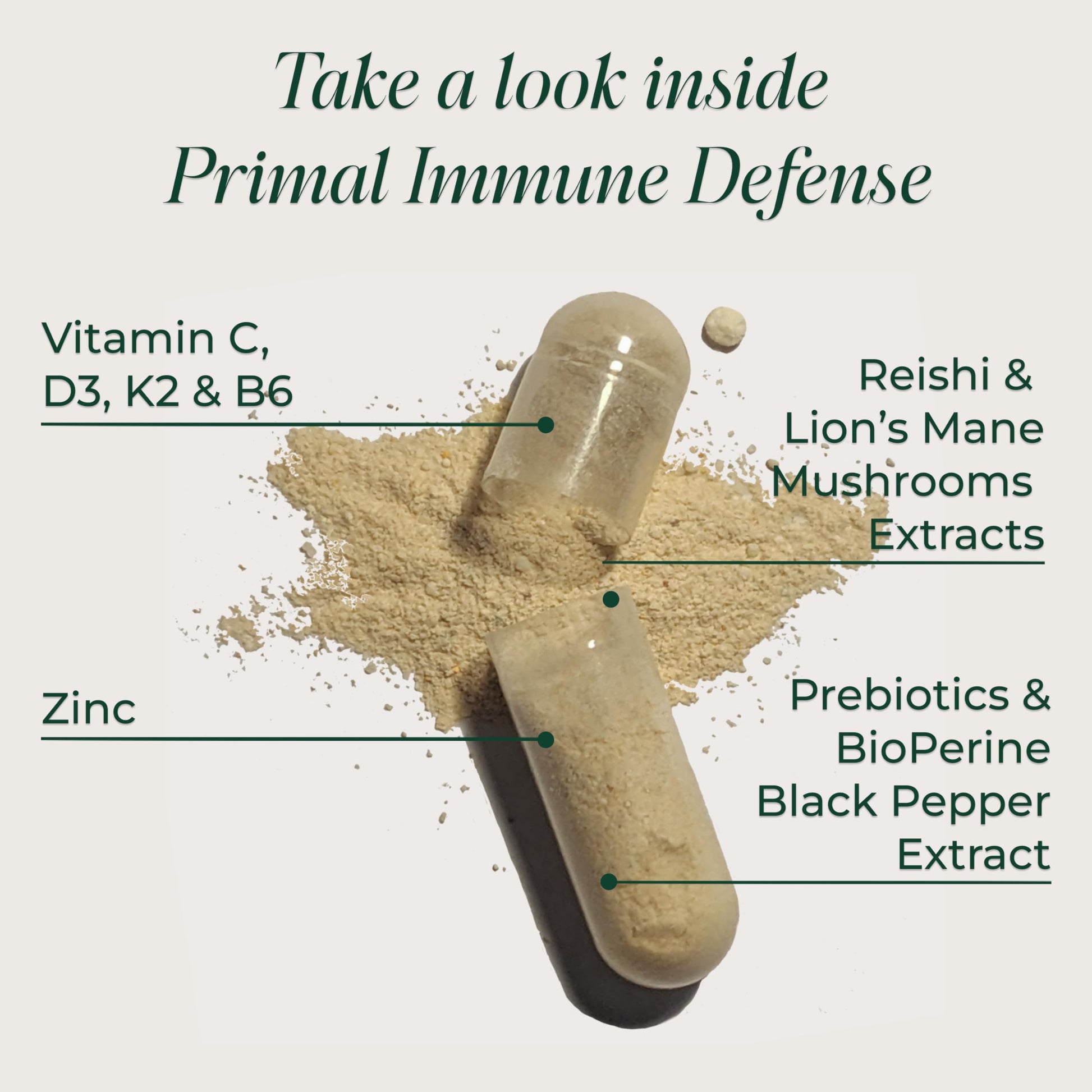 Primal Harvest Immune Defense 10-in-1 Supplement with Probiotics, Zinc, and Vitamins C, D3, K2, B6 Daily Immune Support for Adults Primal Harvest buy supplements Au