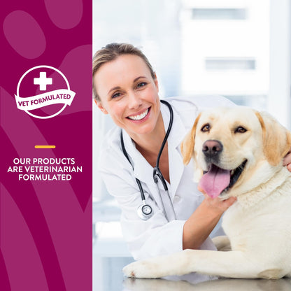 NaturVet – Glucosamine DS Plus - Level 2 Moderate Care – Supports Healthy Hip & Joint Function – Enhanced with Glucosamine, MSM & Chondroitin – for Dogs & Cats–120 Soft Chews NaturVetBuy Supplements Australia