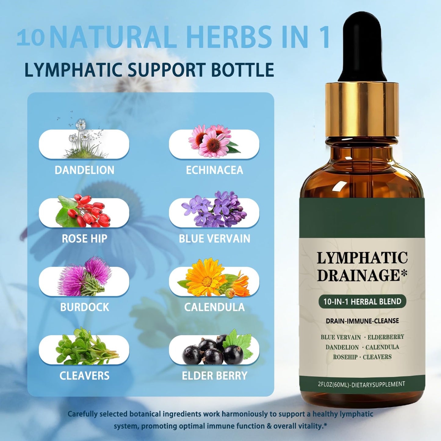 Cleantra Organic Lymphatic Drainage Drops,Natural Herbal Blend Lymphatic System Support Fast-Absorbing,Vegan & Non-GMO,Fast-Absorbing,2 fl oz (1PCS) Cleantra Organic buy supplements Au