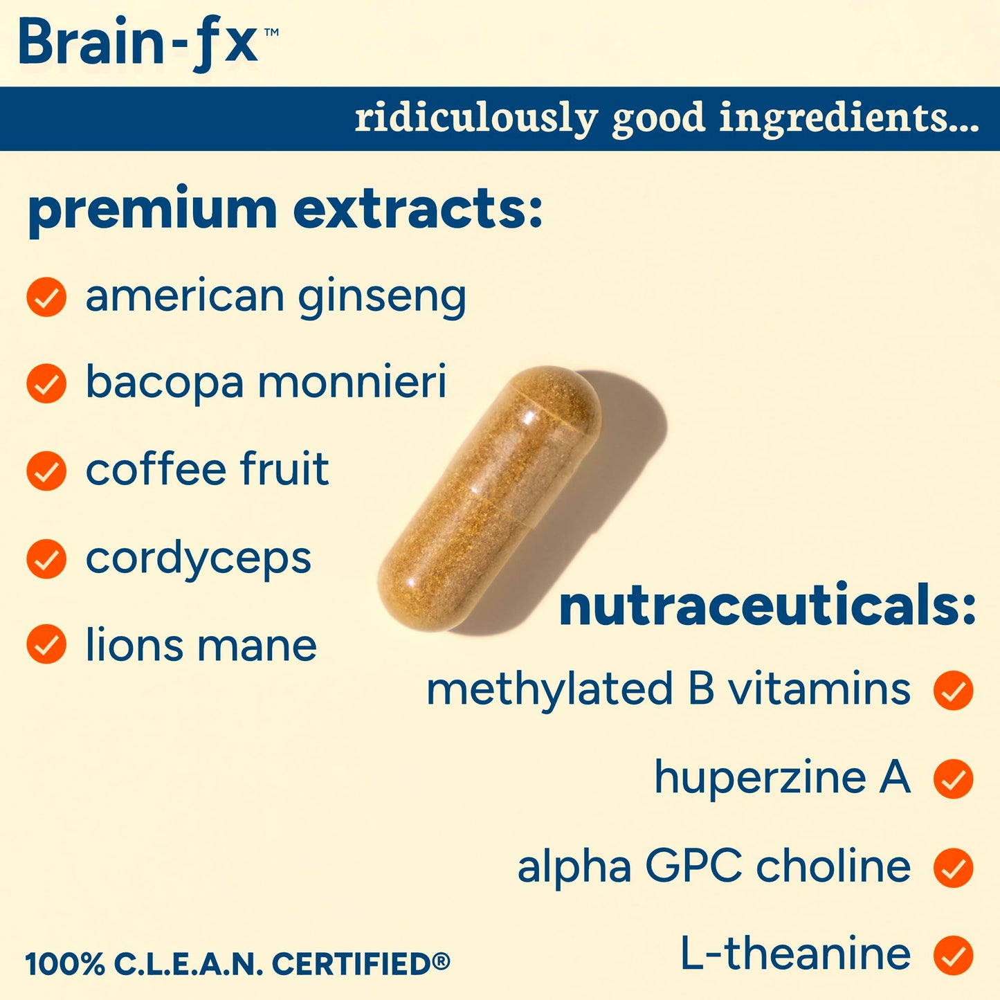 PPO Lab® Brain-fx™ Extended-Release Vitamins for Brain Health, Supplement for Memory and Focus with Nootropics, BDNF Factor, Methylated B Complex, L-Theanine