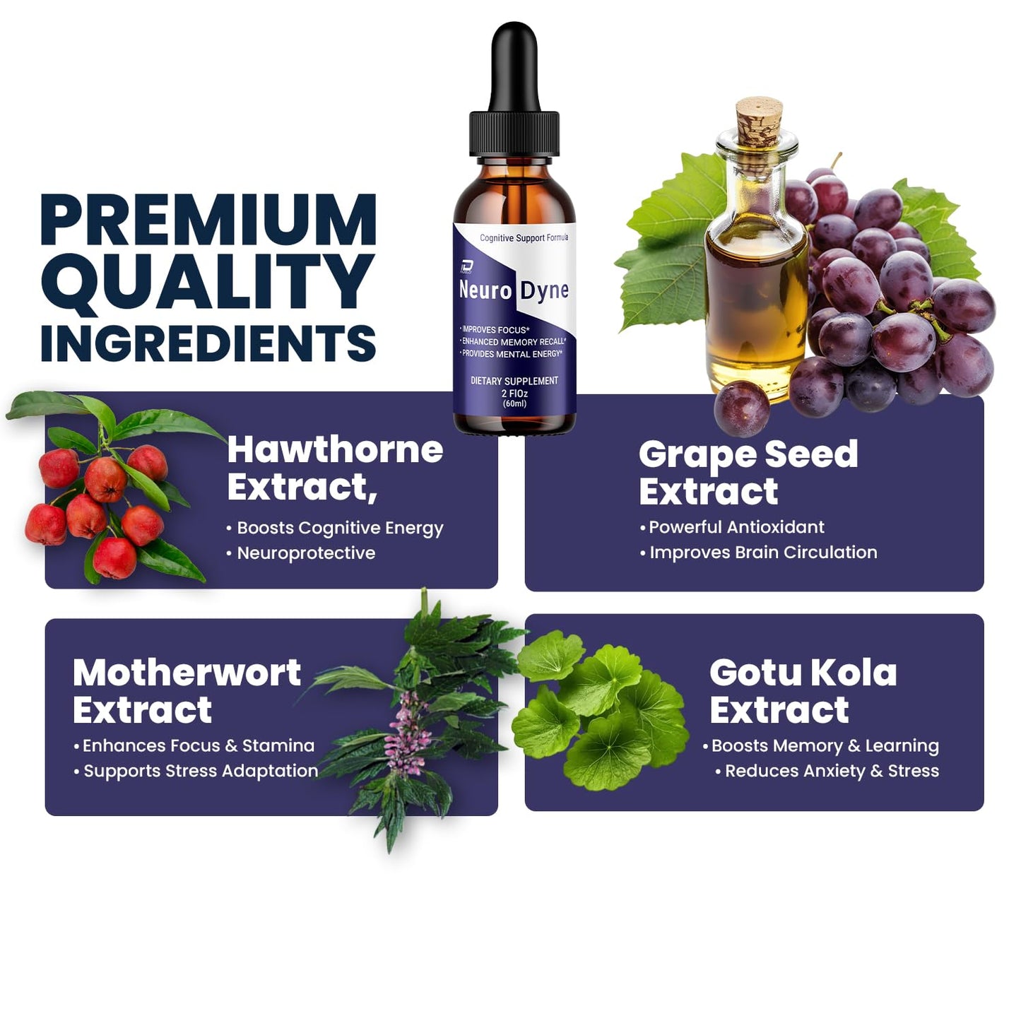 Neurodyne Liquid Drops – Neuro Dyne Natural Liquid Dietary Natural Blend Supplement (2 Pack – 2 Month Supply) IndeloBuy Supplements Australia